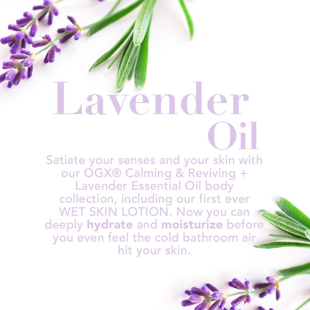 Ogx Lavender Luminescent Platinum Shampoo