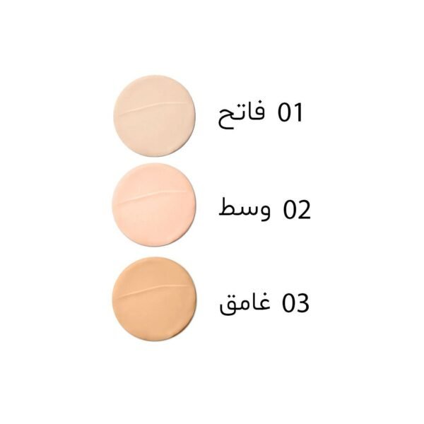 bourjois-foundation-drgat-1.jpg Bourjois Air Mat Foundation and SkyHigh mascara (2pcs)