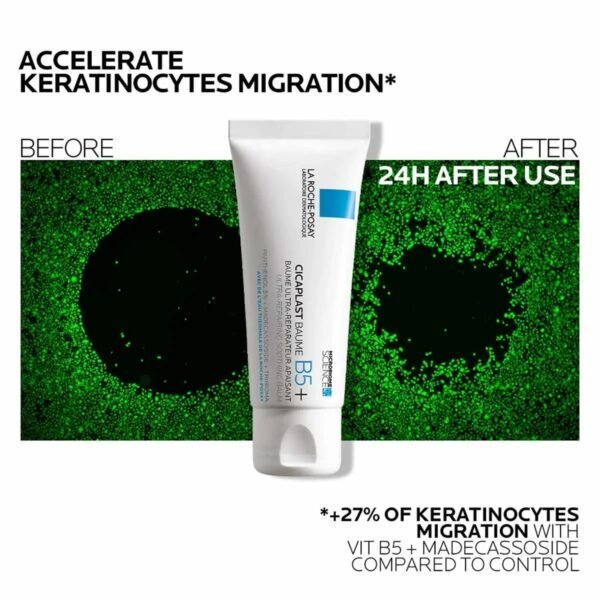 lrpcicaplastbaumeb5keratinocytevisualv2 `La Roche Protection & Repair Duo ( Anthelios Uvmune 400 SPF50+ Sunscreen + Cicaplast Baume B5+ Soothing Repairing Balm)